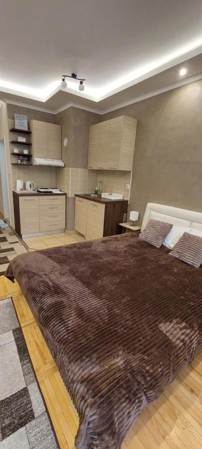 Apartman Studio Niki ซูโบติกา ภายนอก รูปภาพ